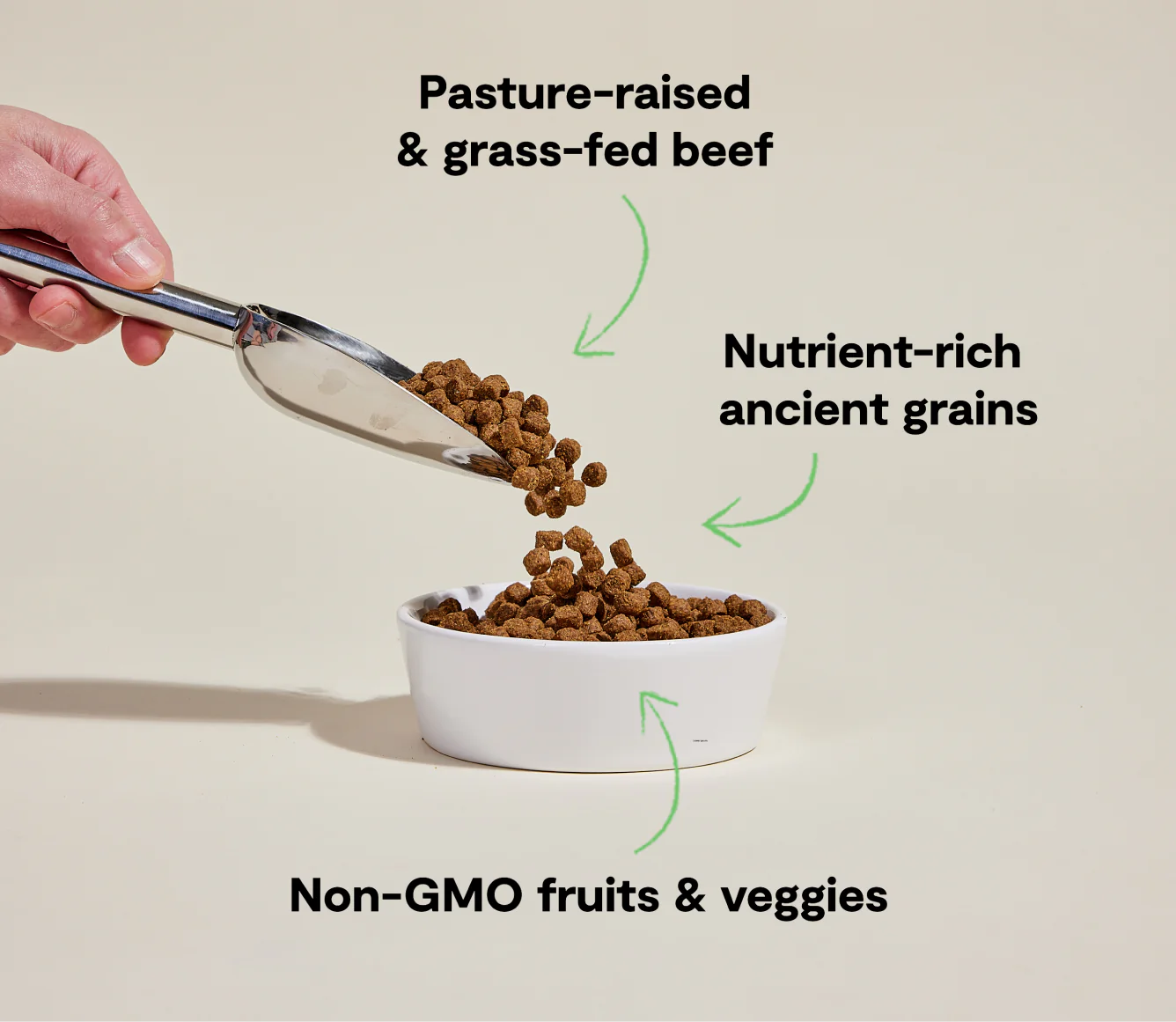 OFP-Ancient-Grains-Beef-Kibble-Recipe-3-668×580