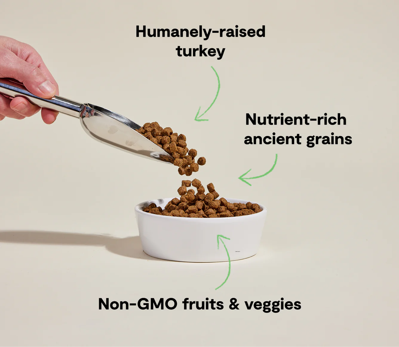 OFP-Ancient-Grains-Turkey-Kibble-Recipe-3-668×580