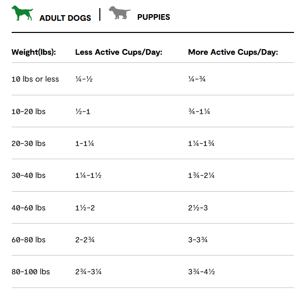 Screenshot 2025-02-20 172740