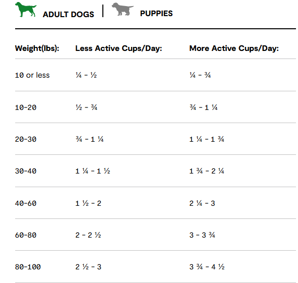 Screenshot 2025-02-21 123809