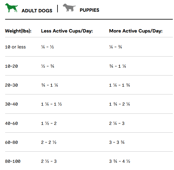 Screenshot 2025-02-21 125654