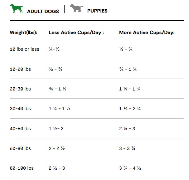 Screenshot 2025-02-21 130552