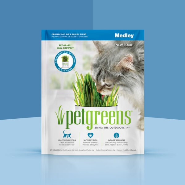 Cat Grass Easy Self-Grow Medley 65g
