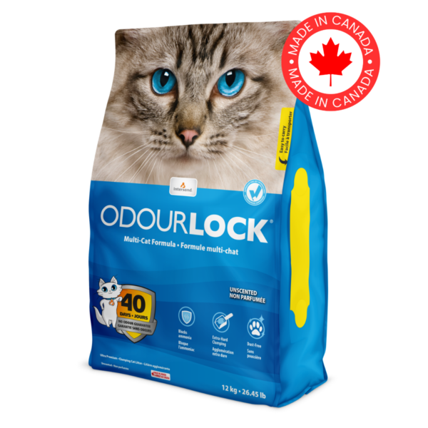 OdourLock Unscented ultra premium clay litter.